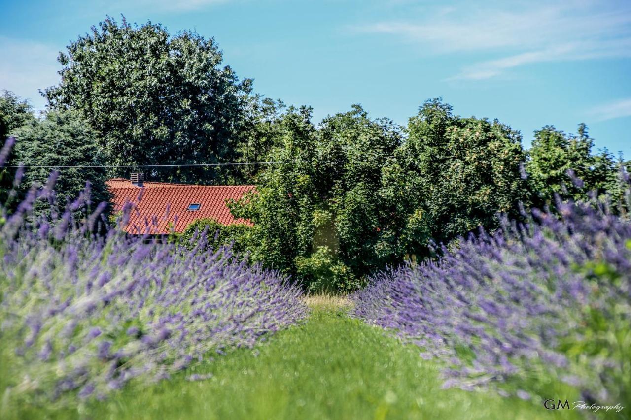 Azienda Agricola La Macina Bregnano Extérieur photo